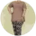 تیشرت شلوار بیگ